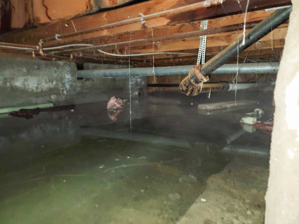 Best Commercial water damage restoration  in Boyes Hot Springs, CA