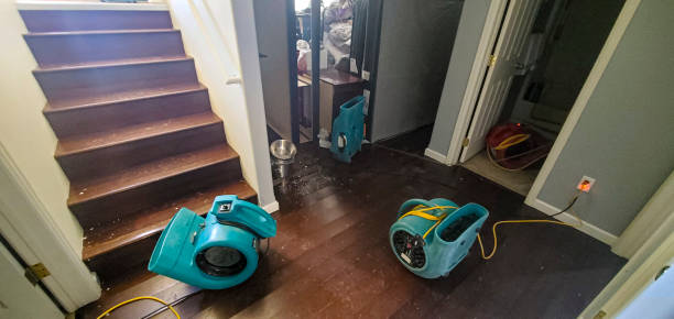 Best Basement water damage restoration  in Boyes Hot Springs, CA