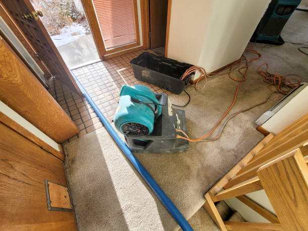 Best Emergency water damage restoration  in Boyes Hot Springs, CA