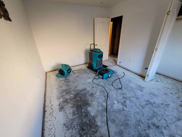 Best Carpet water damage restoration  in Boyes Hot Springs, CA