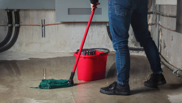 Best Fire Damage Restoration  in Boyes Hot Springs, CA