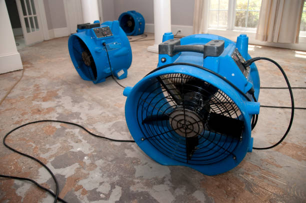 Best Water damage restoration insurance claims  in Boyes Hot Springs, CA