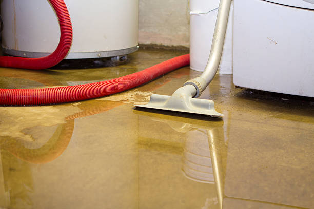 Best Mold removal after water damage  in Boyes Hot Springs, CA