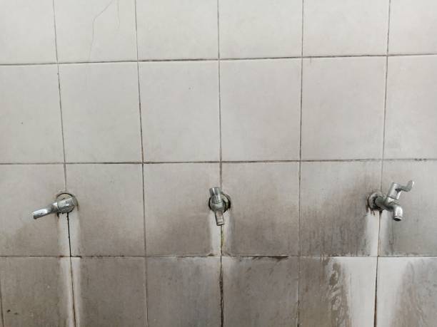 Best Professional water damage repair  in Boyes Hot Springs, CA