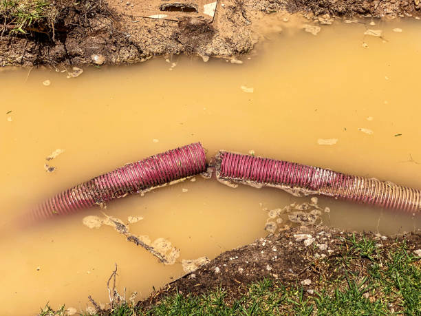 Best Sewage cleanup and water damage restoration  in Boyes Hot Springs, CA